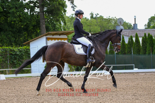 DKP40875 | Turnierfotos kaufen im Webshop von Daniel Kuhl Photography – entdecke professionelle Reitsportfotos aus Turnieren & Events. Hochwertige Turnierbilder online bestellen & sichern. Jetzt Fotos von Reitsportturnieren kaufen!