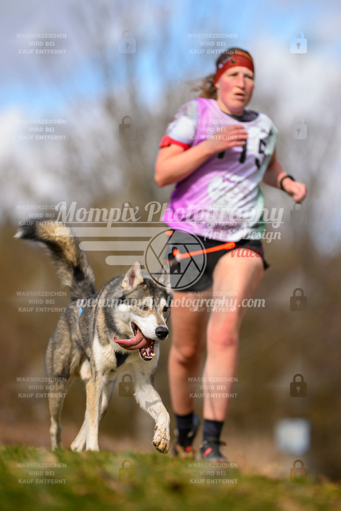 MompixPhotography_10Schwabentrail2026_SO_Canicross-40 | PayLife