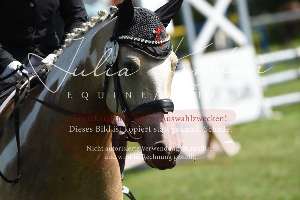 DSC_9093 | Pferde- und Turnierfotografie in Westsachsen. Pferdeportraits, Auftragszeichnungen und intuitive Kunst.