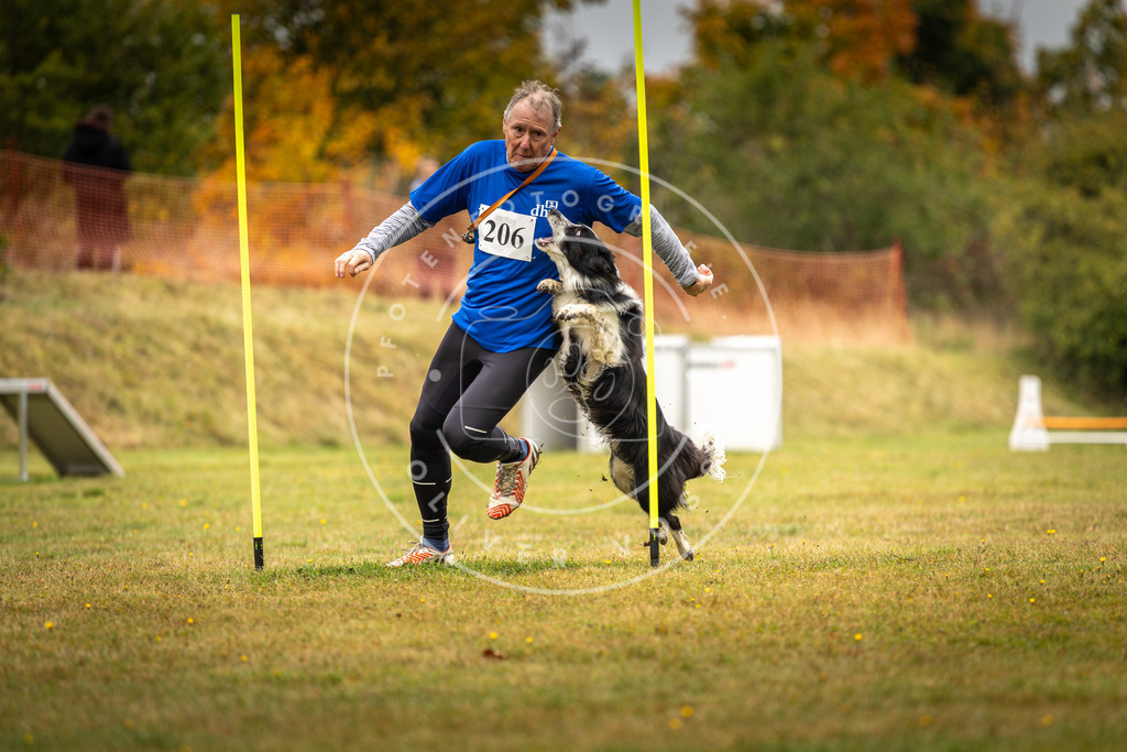 Pfotenfotografie_DV3A2148 | Hundefotografie, Tierfotograf, Pfotenfotografie, Fotoshooting Hund, Hunde Portrait, Hundesport, Hundeportraits, Heideshooting, Hunde, Sportfotograf, Hundefotograf, Turnierhundsport, THS,  - Realisiert mit Pictrs.com