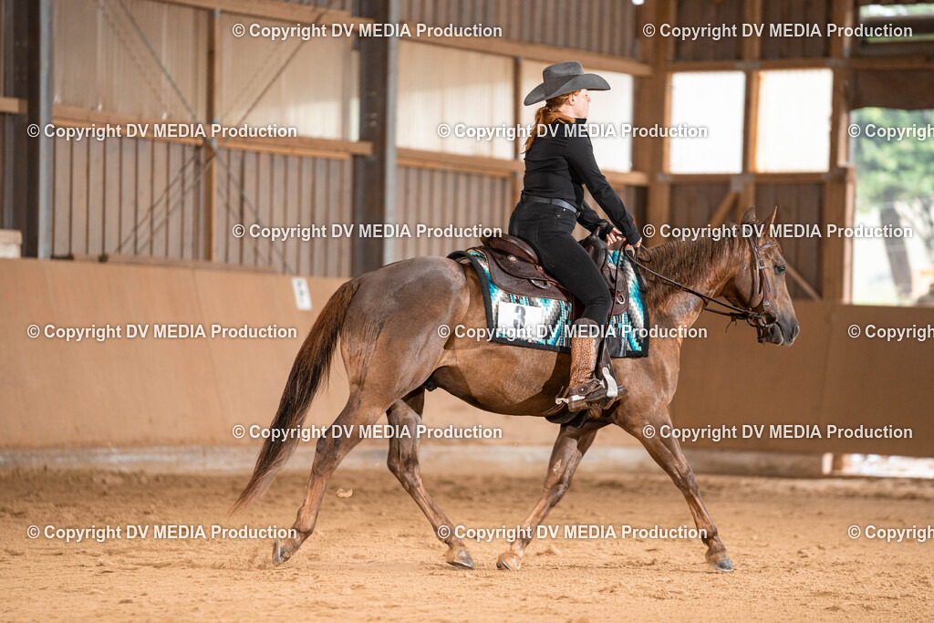 Losheim Tag 1-507 | dv-media-shop - Realisiert mit Pictrs.com