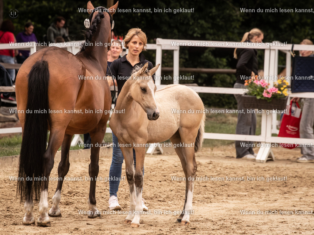 A10I3263-Verbessert-RR 15.56.14 | photographylinaismer - Realisiert mit Pictrs.com