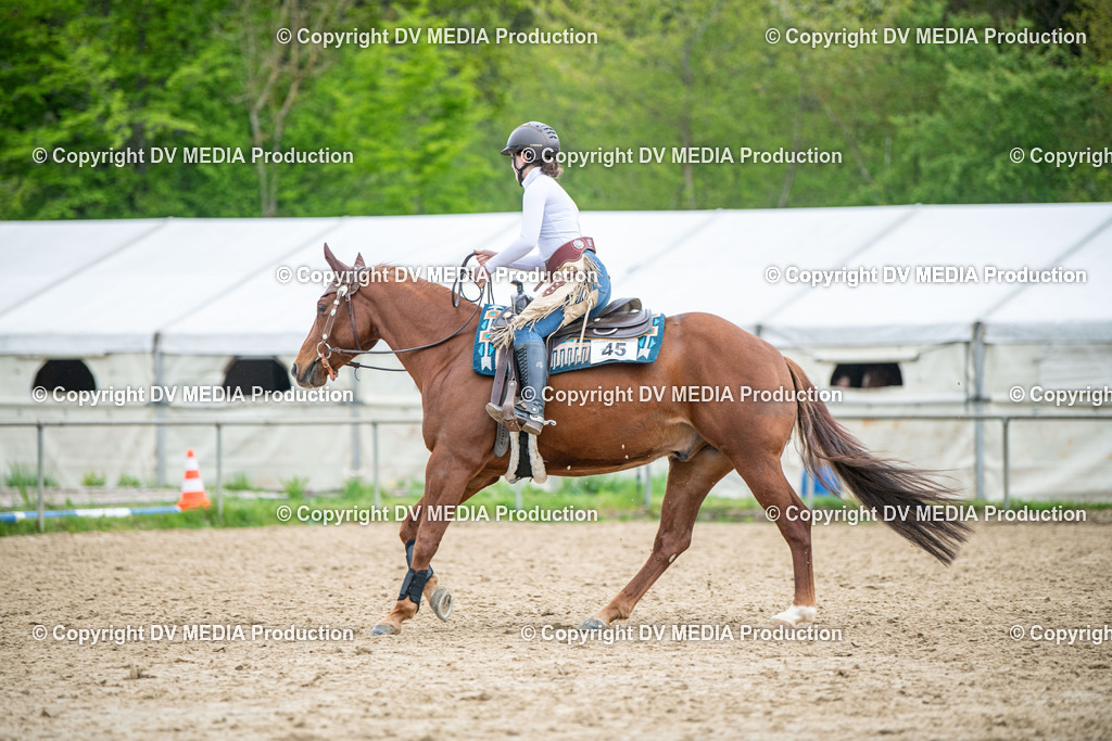 Heiligenwald Tag 1-1281 | dv-media-shop - Realisiert mit Pictrs.com