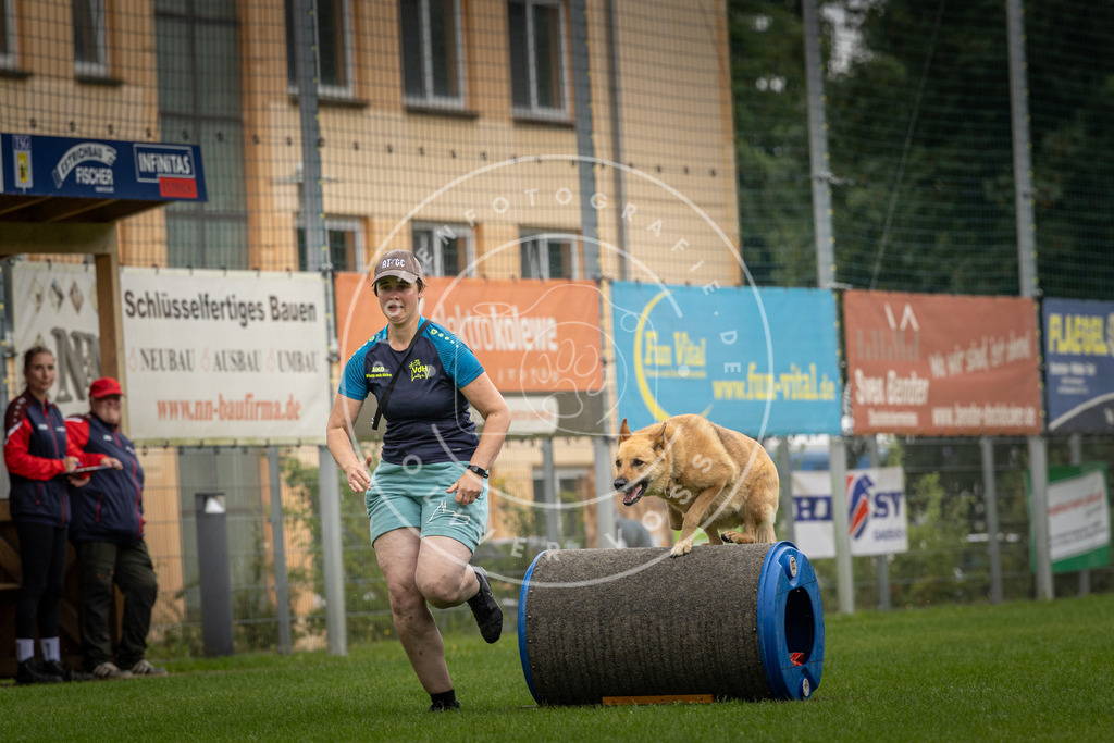 Pfotenfotografie_DV3A5431 | Hundefotografie, Tierfotograf, Pfotenfotografie, Fotoshooting Hund, Hunde Portrait, Hundesport, Hundeportraits, Heideshooting, Hunde, Sportfotograf, Hundefotograf, Turnierhundsport, THS,  - Realisiert mit Pictrs.com