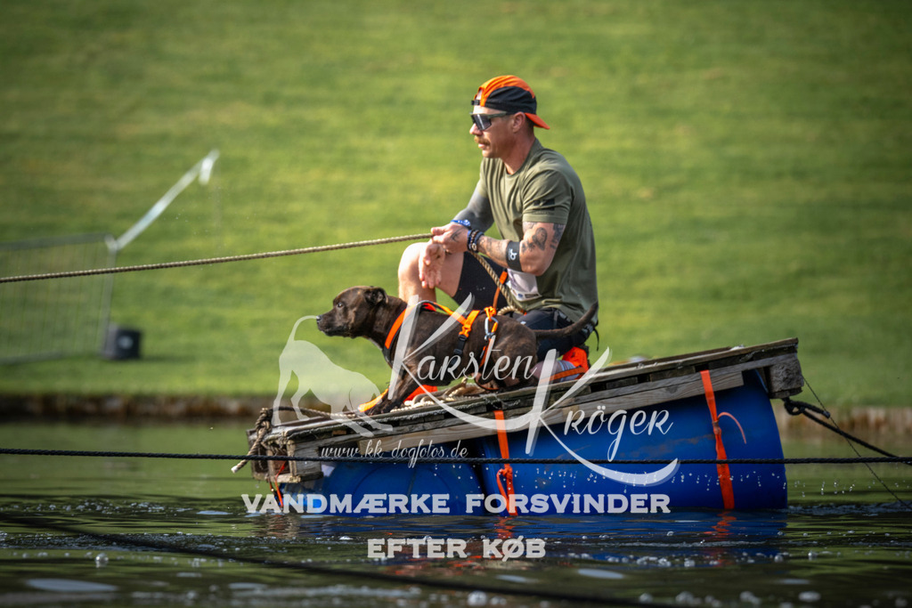 _ZZ933820704 | kk-dogfotos