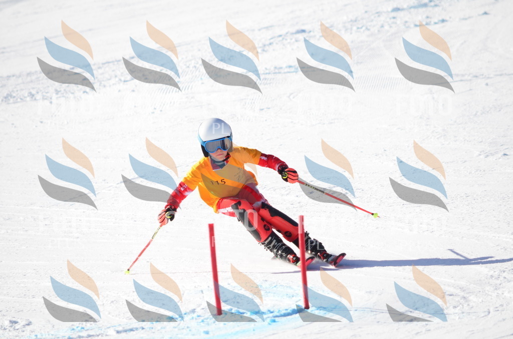 C6307 | holidayphoto