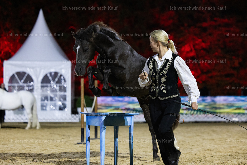 FHClassics-251 | working equitationturnier fotograf videograf stoibphotography marixx film working equitation deutschland reitsport turnierfotografie eventfotografie equestrian events