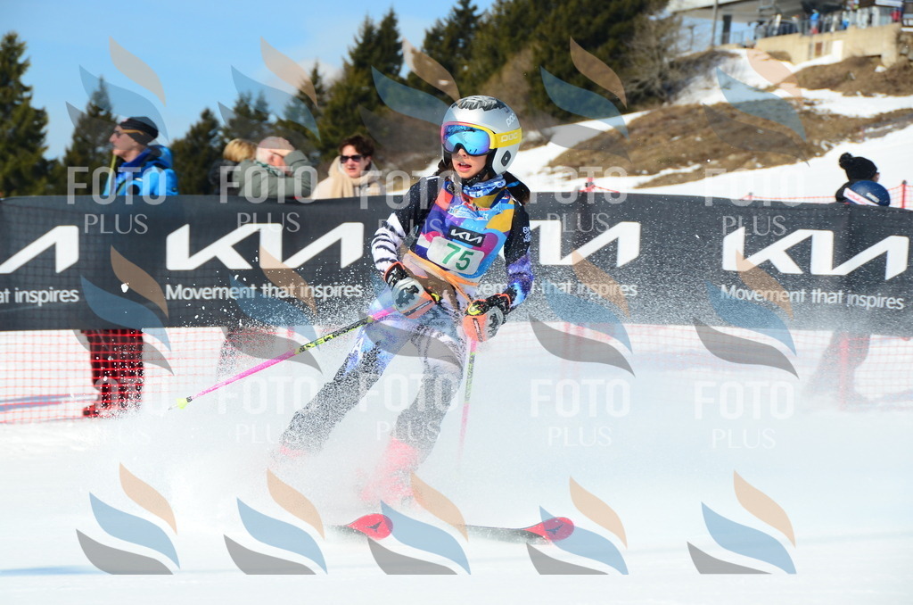 DSC_0449 | holidayphoto