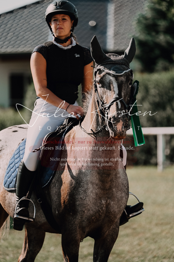 DSC_4935 | Pferde- und Turnierfotografie in Westsachsen. Pferdeportraits, Auftragszeichnungen und intuitive Kunst.