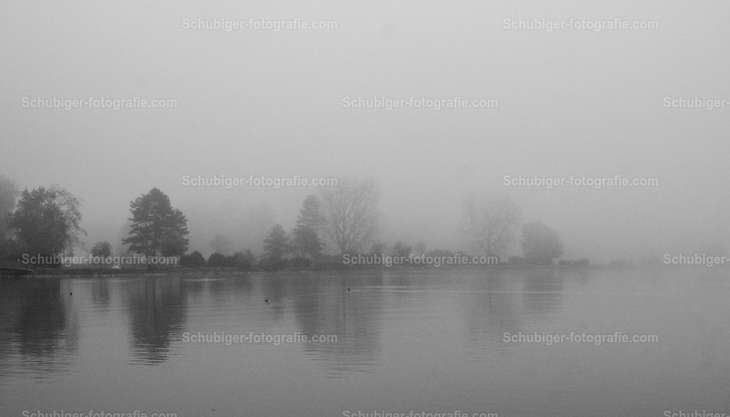 Baumspiegelung im Nebel | Baumspiegelung im Nebel am See - Realisiert mit Pictrs.com