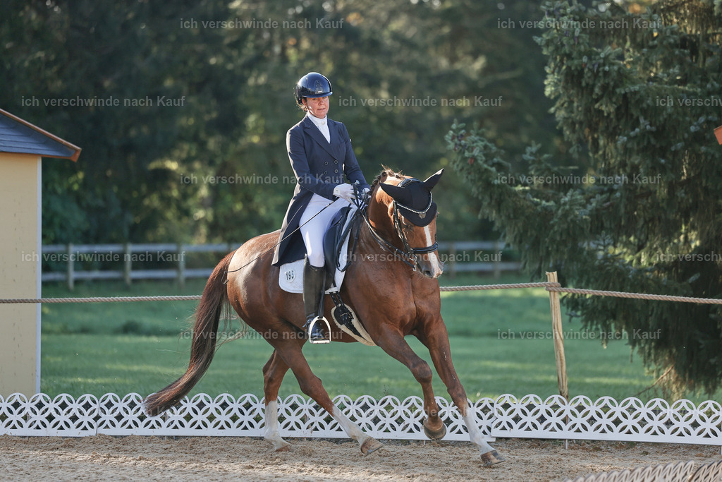 09_1-195-DRESSUR  S_  -StoibPH-5510 | working equitationturnier fotograf videograf stoibphotography marixx film working equitation deutschland reitsport turnierfotografie eventfotografie equestrian events