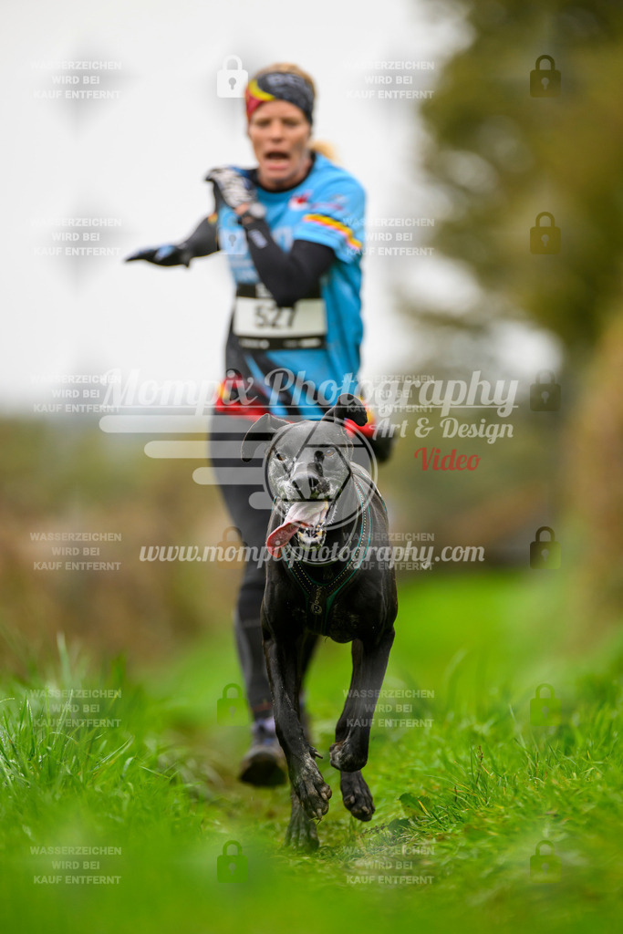 MompixPhotography_20TSB_E8_Run-94 | PayLife