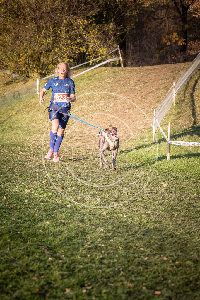CaniXpix_0L8A0571 | Hundefotografie, Tierfotograf, Pfotenfotografie, Fotoshooting Hund, Hunde Portrait, Hundesport, Hundeportraits, Heideshooting, Hunde, Sportfotograf, Hundefotograf, Turnierhundsport, THS,  - Realisiert mit Pictrs.com