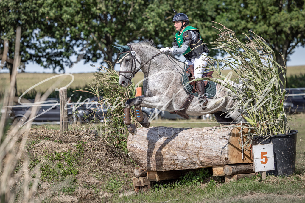 20250907-_3LI1723 | Tierfotografie Pferde, Hunde, Katzen, Haustiere.
Turnierfotografie Reitturniere, Reiten, Springreiten, Dressur in Hanau, dem Main-Kinzig-Kreis und dem Rhein-Main- Gebiet um Frankfurt
