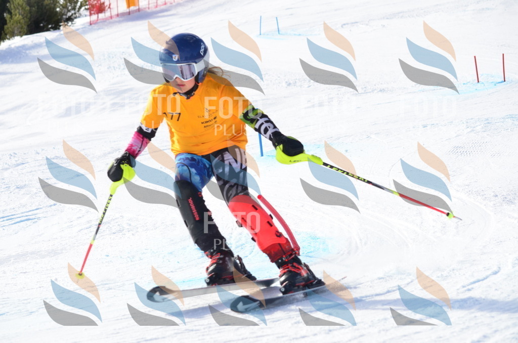 C7959 | holidayphoto