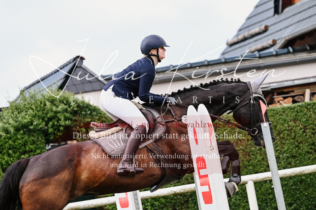 DSC_8132 | Pferde- und Turnierfotografie in Westsachsen. Pferdeportraits, Auftragszeichnungen und intuitive Kunst.