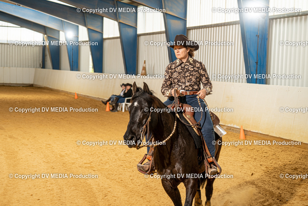 MIT00172 | dv-media-shop - Realisiert mit Pictrs.com