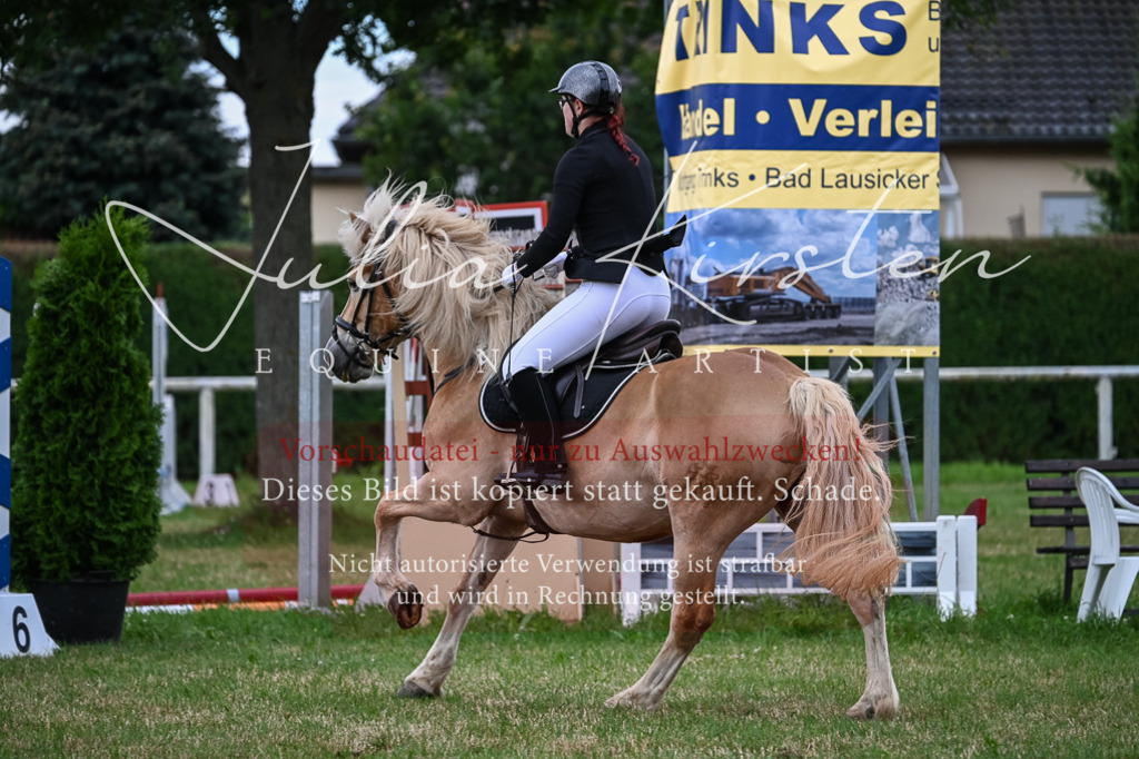 DSC_8408 | Pferde- und Turnierfotografie in Westsachsen. Pferdeportraits, Auftragszeichnungen und intuitive Kunst.