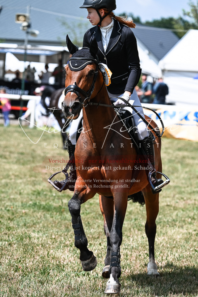 DSC_9502 | Pferde- und Turnierfotografie in Westsachsen. Pferdeportraits, Auftragszeichnungen und intuitive Kunst.