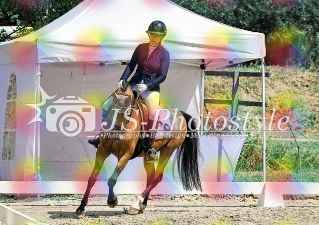 20250726_Dressurreiterprfg_Kl.L-270 | JS-Photostyle - Sport-/Portrait- & Eventfotografie