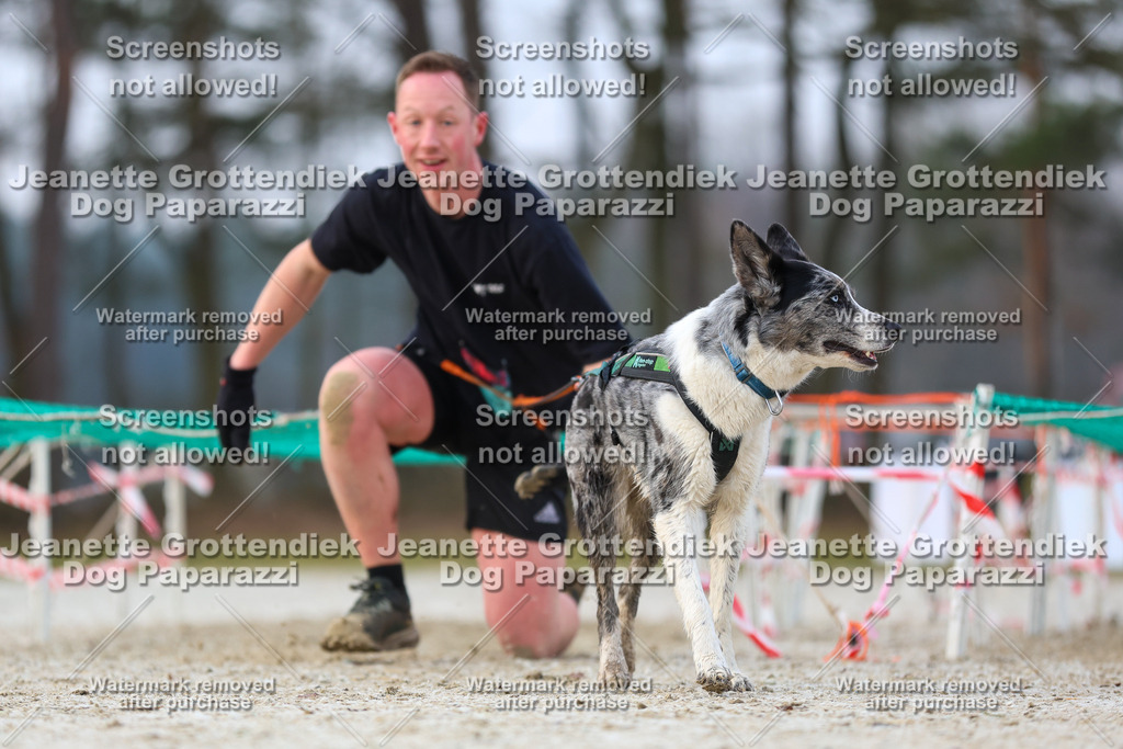 Dog Paparazzi - Strongdog North Mrz26-3653 | Dog Paparazzi Jeanette Grottendiek Fotografie & Videografie - Realisiert mit Pictrs.com