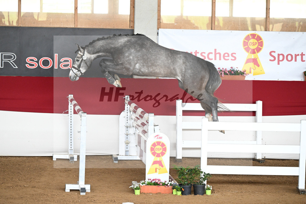 Kat-Nr. 45 Ascan v. Asca_Hess Mueller_9240877 | hf-fotografie - Realizzato con Pictrs.com