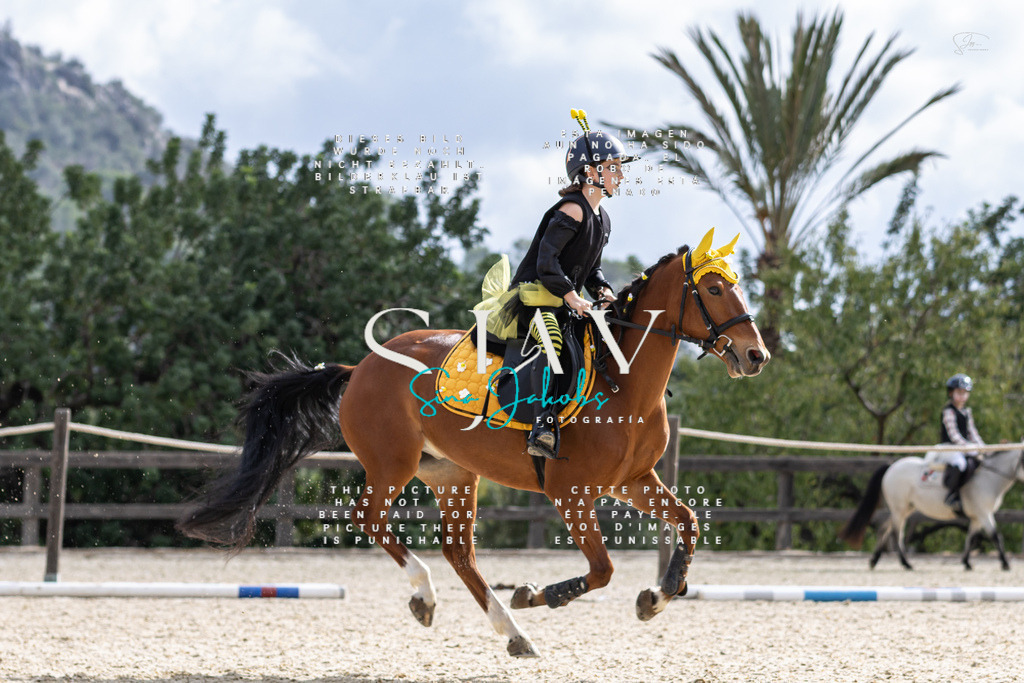 IMG_2194 | s-jay-photography - Realisiert mit Pictrs.com