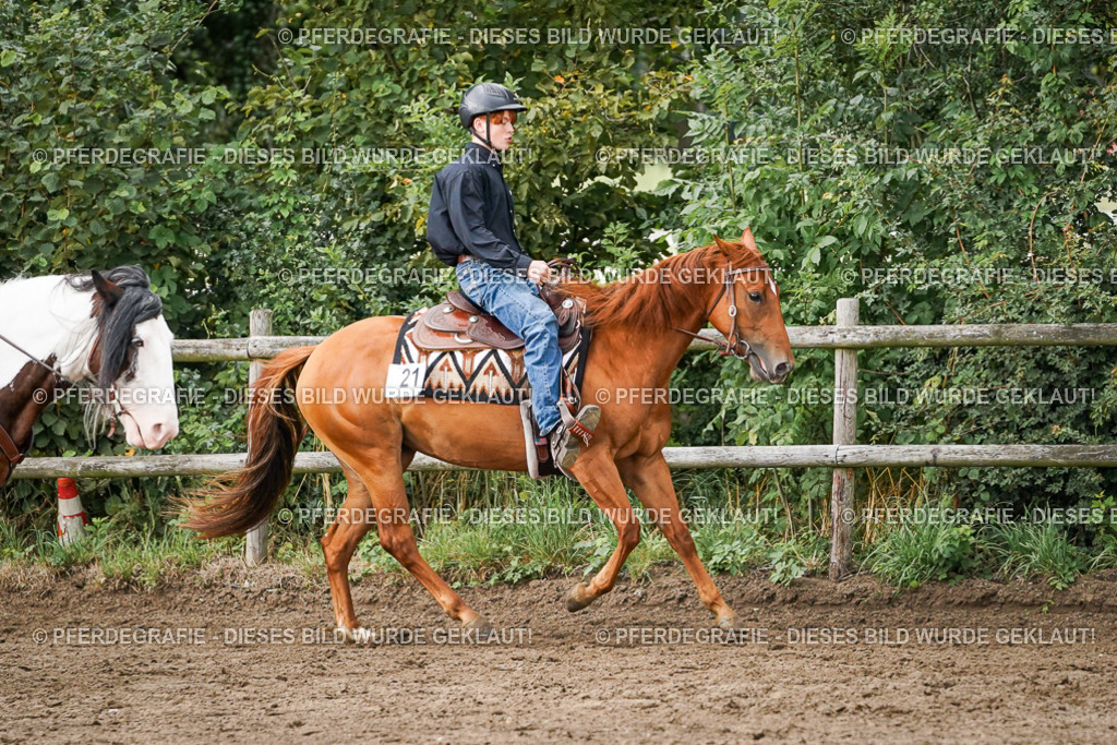 DSC08925 | Pferdegrafie