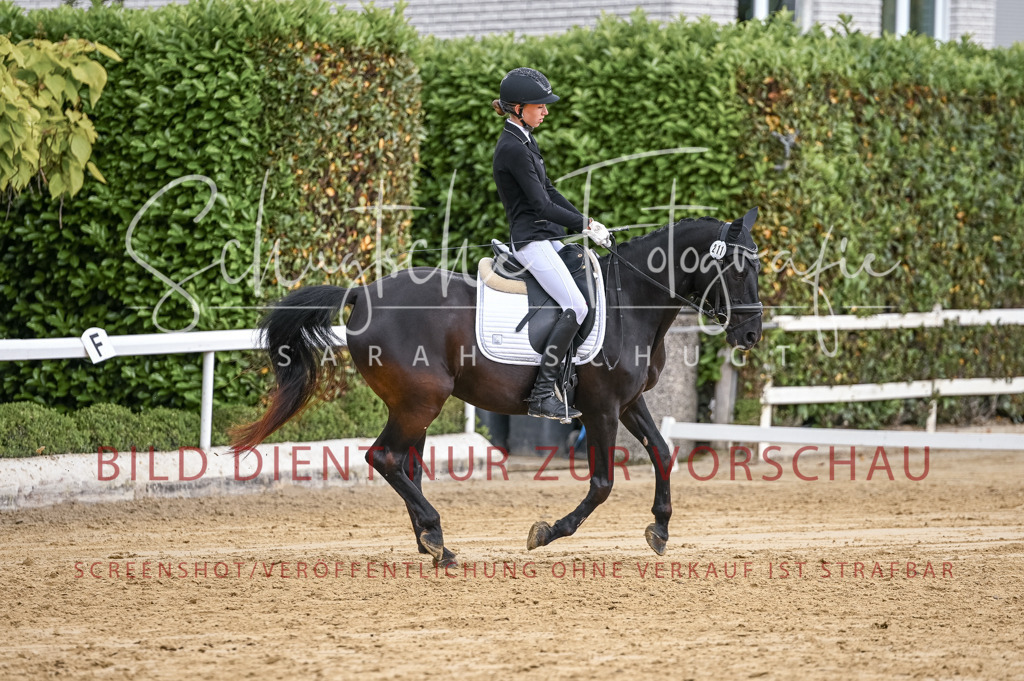 Schugtsche-Aluta25-43.EDressur -195 | Schugtsche Fotografie - Realisiert mit Pictrs.com