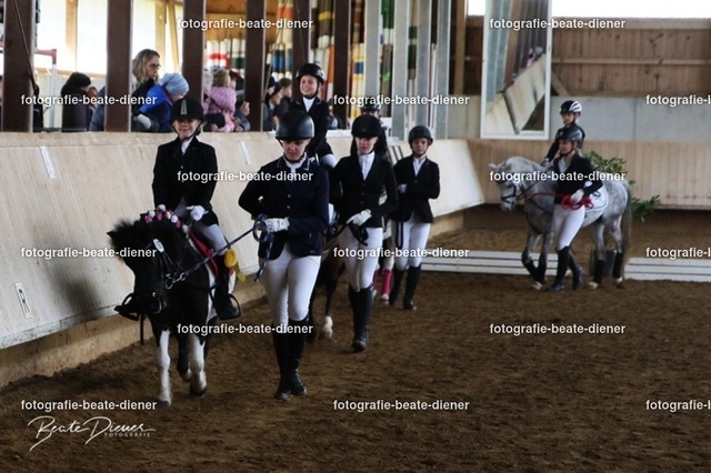 JugendTrophy.II0381 | Fotografie, Tiere, Hunde, Katzen, Pferde, Sportfotografie, Fotosession, Tierfotografie, Turnierfotografie, Fotografin, Fotograf - Realisiert mit Pictrs.com