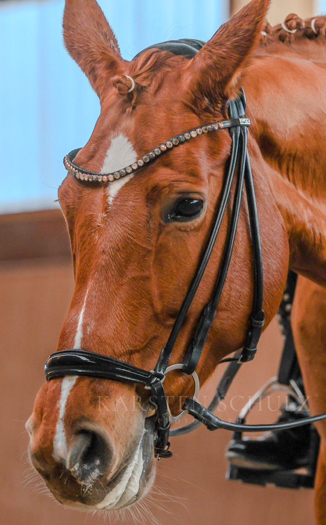 1B3A6562 | Karsten Schulz - Photography