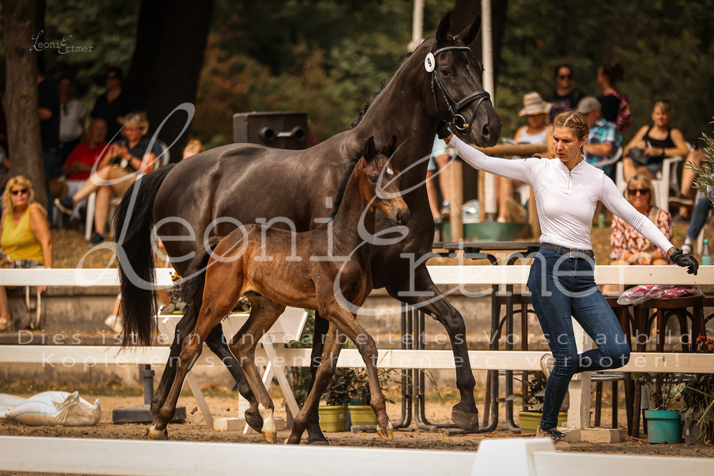 SaPA00120 | Leoni Ertmer Photography - Realisiert mit Pictrs.com