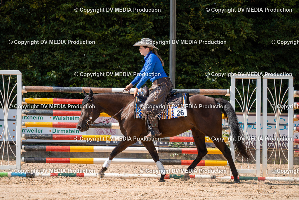 ZH100290 | dv-media-shop - Realisiert mit Pictrs.com