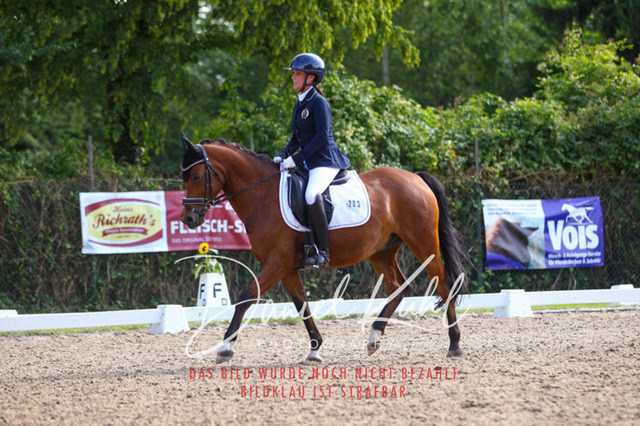 DKP43023 | Turniersportfotografie; Pferdefotografie; Dressurfotografie