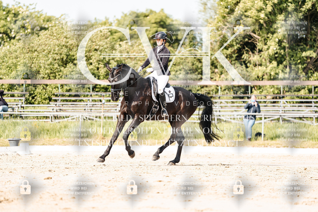 CK900224 | Turnierfotografie Pferdefotografie Trier Rheinland-Pfalz Pferdesport Reitsport Tierfotografie Sportfotografie Pferdevideo Pferdevideografie Equestrianvideography equestrianphotography  - Realisiert mit Pictrs.com