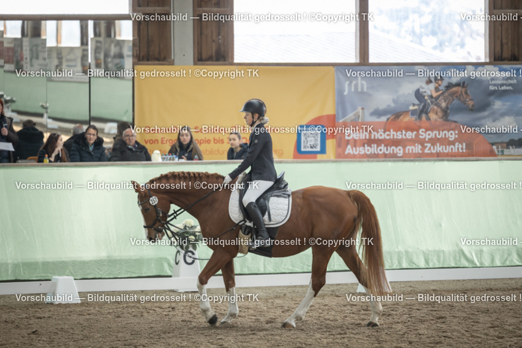 _D5A5500 | Emotionale Pferde- & People-Fotografie rund um Heidelberg, Leimen & Umgebung. Natürliche Fotos von Pferd, Mensch & Familie. Jetzt Termin sichern!