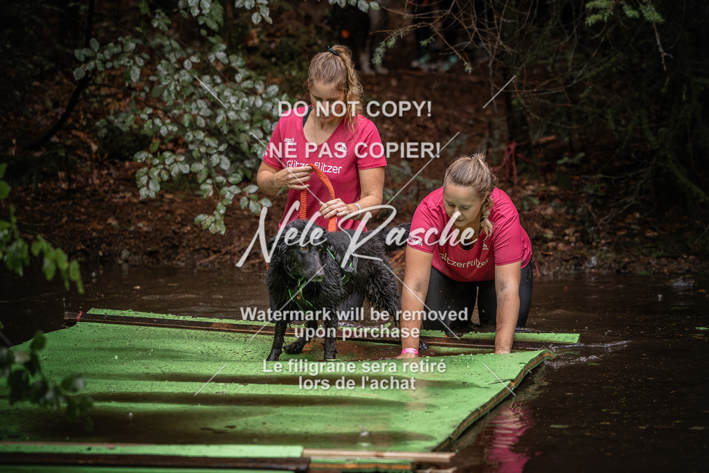 nelerasche_Wingst_Sa1330-1400_183 | nelerasche