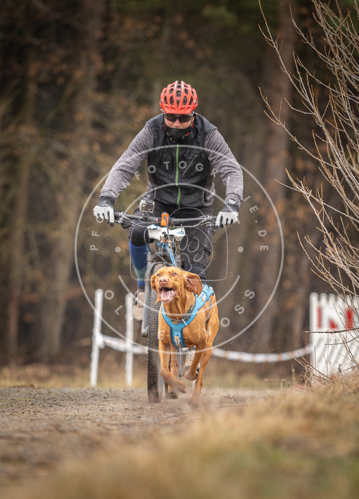 DV3A3308 | Hundefotografie, Tierfotograf, Pfotenfotografie, Fotoshooting Hund, Hunde Portrait, Hundesport, Hundeportraits, Heideshooting, Hunde, Sportfotograf, Hundefotograf, Turnierhundsport, THS,  - Realisiert mit Pictrs.com