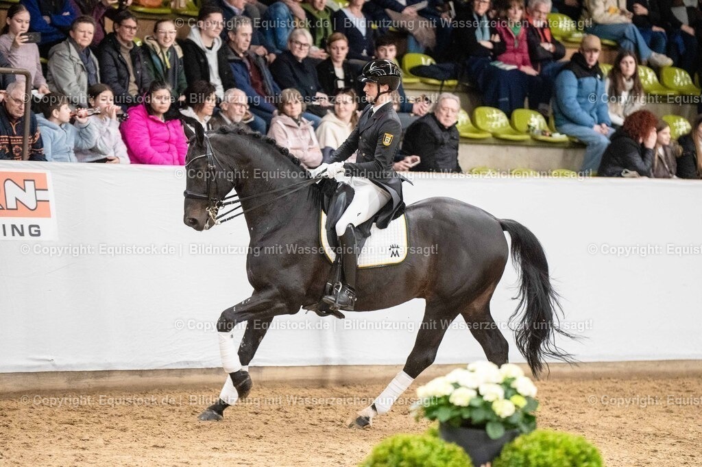 20260307_Hengstvorstellung-Marbach_0505 | equistock