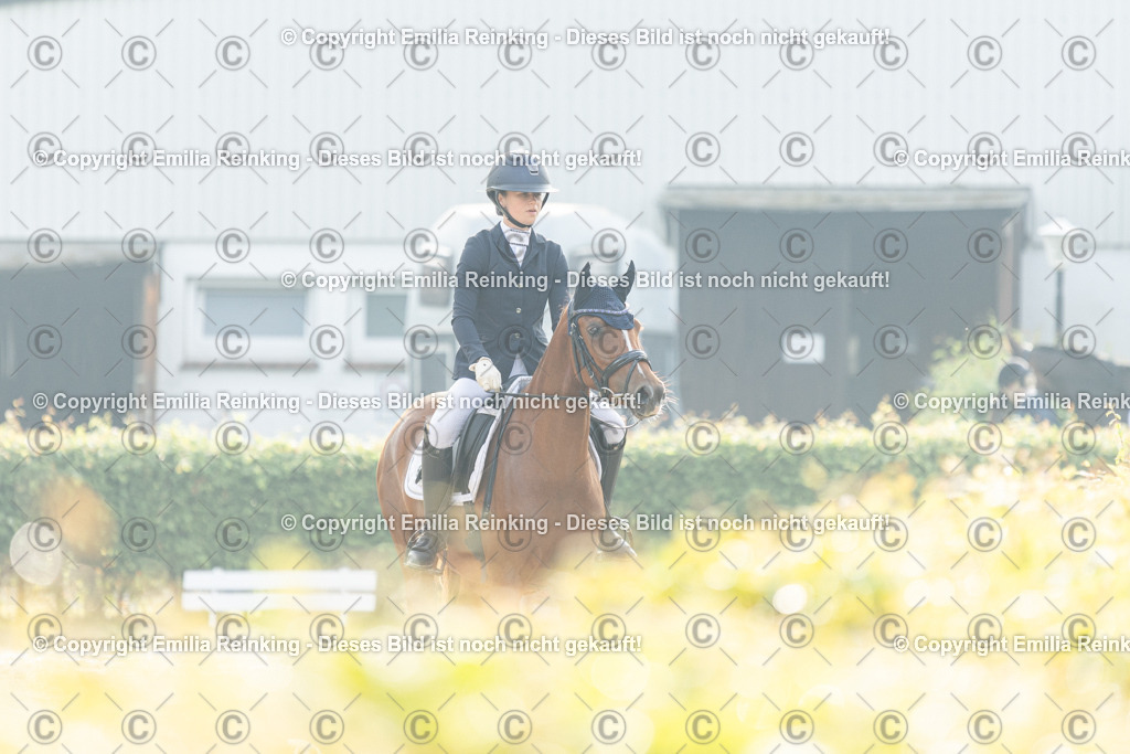 CL5A3349 | Emilia Reinking Fotografie - Realisiert mit Pictrs.com