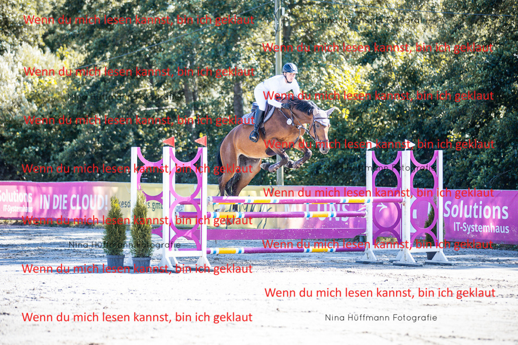 BK1A5650 | Turnierbilder Turnierfotos Nina Hüffmann Turnierfotografie Pferdefotografie Tierzeichnung Haustierzeichnung Pferdezeichnung Hundezeichnung Videograf  - Realisiert mit Pictrs.com