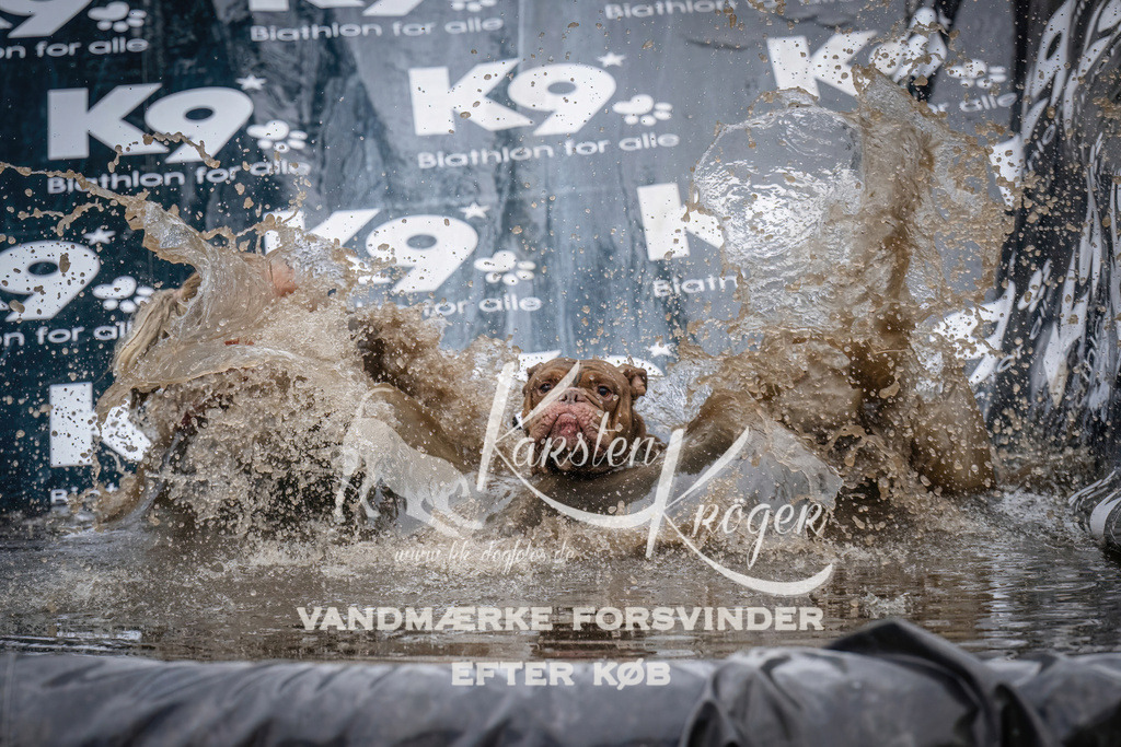 1237_ZZ90273 | kk-dogfotos
