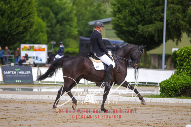 DKP40729 | Turniersportfotografie; Pferdefotografie; Dressurfotografie