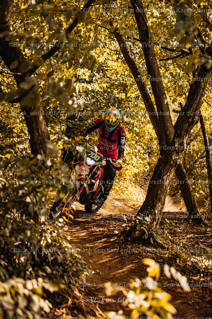 E68A5931 | blick_win_kel