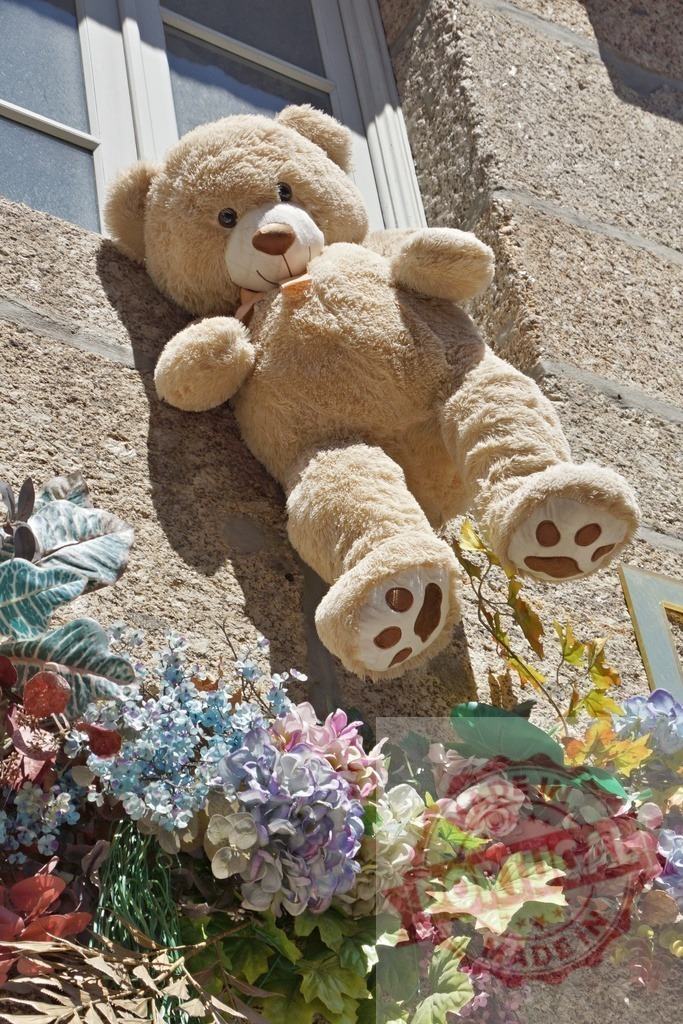Teddy bear plush toy decorating building facade | Large brown teddy bear peeking from a window ledge with colorful flowers - Realized with Pictrs.com