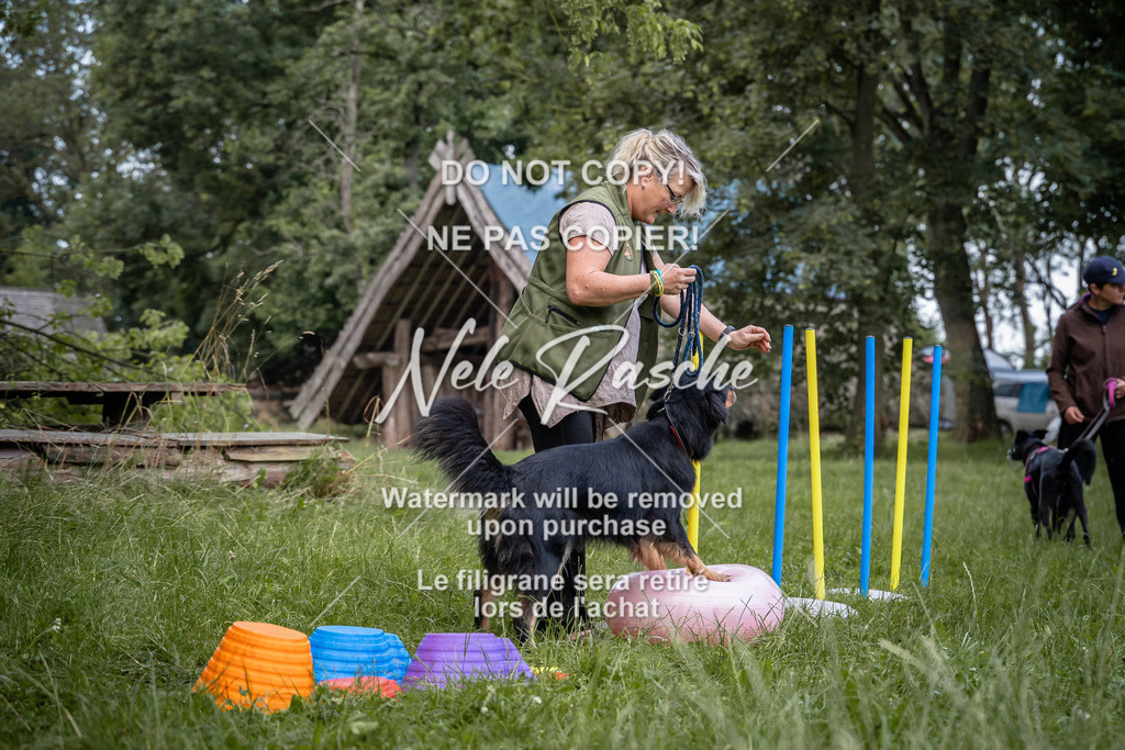 nelerasche_SoEarlyDog_114 | nelerasche