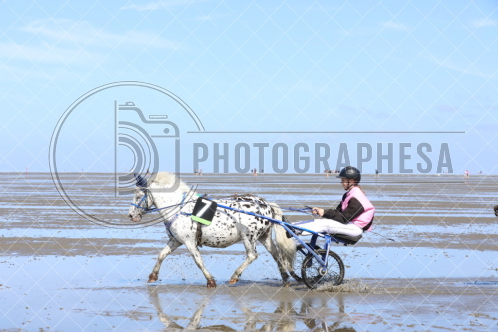 IMG_8704 | photographesa-joergens - Realisiert mit Pictrs.com