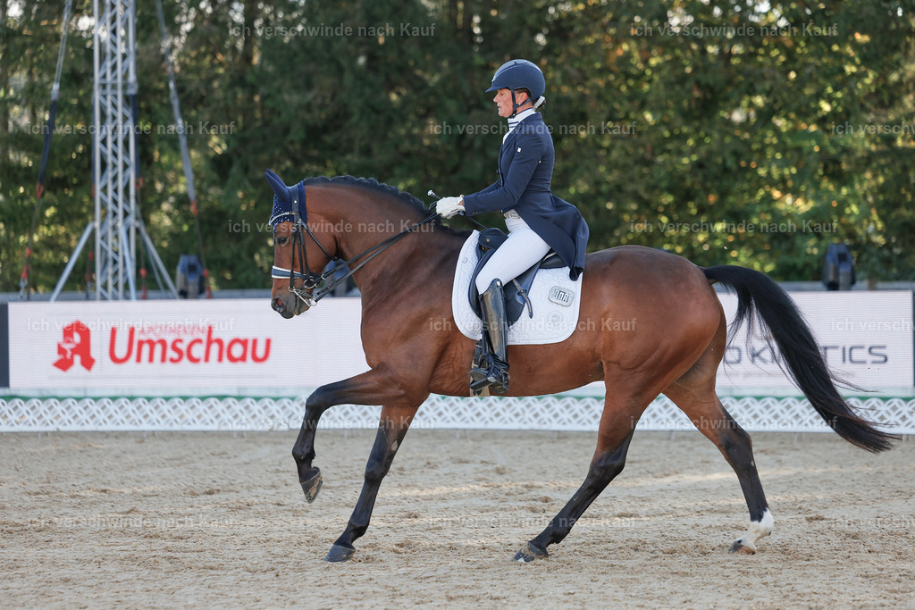 09_1-082-DRESSUR  S_  -StoibPH-5467 | working equitationturnier fotograf videograf stoibphotography marixx film working equitation deutschland reitsport turnierfotografie eventfotografie equestrian events
