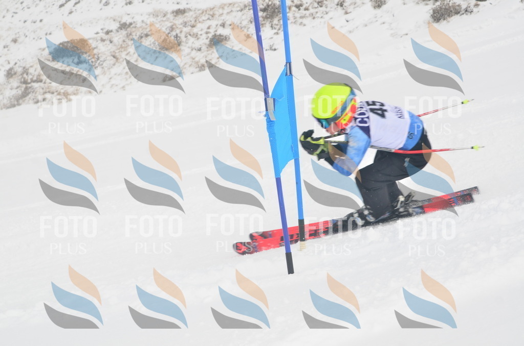 A5343 | holidayphoto