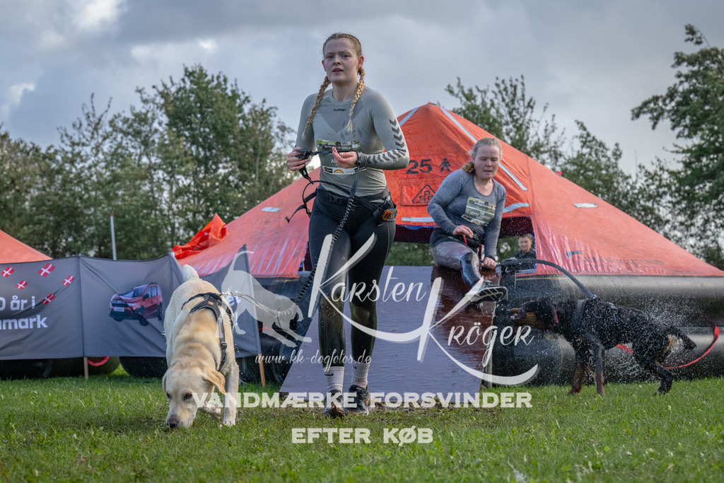 1255-90140 | kk-dogfotos